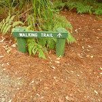 Walking track sign in Pines campground 