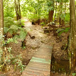 Timber bridge near Pines campsite in the Watagans