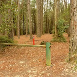Locked gate at the Pines Picnic Area in the Watagans