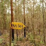 Old yellow sign near Abbotts Falls in the Watagans