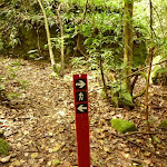 Track marker near Dora Creek
