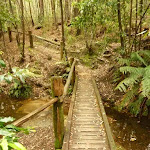 Timber bridge and railing near the Pines campsite in the Watagans