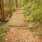 Track over old timber footbridge in the Watagans