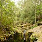 Small waterfall in the Boarding House Dam Creek in the Watagans.