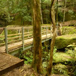 Timber bridge near the Moss Wall in the Watagans