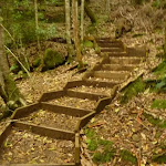 Timber steps close to Moss Wall, near the Boarding House Dam in the Watagans