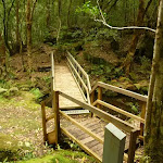 Timber bridge crossing creek near the moss wall in the Watagans