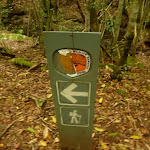 Timber track marker near the moss wall in the Watagans