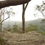 Gap Creek Viewpoint off Monkey Face road in the Watagans
