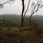 Gap Creek Viewpoint on a cloudy day off Monkey Face Road in the Watagans