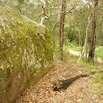 Track and rock near Gap Creek Viewpoint in the Watagans
