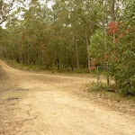 Looking at intersection on Monkey Face road with Gap Creek viewpoint behind in the Watagans