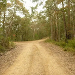 Intersection on Monkey Face road near Gap Creek viewpoint in the Watagans