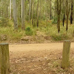 Timber post and track across Bangalow Road in the Watagans