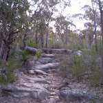 The Karloo Trail