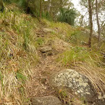 Rocky track near the monkey face cliff in the Watagans