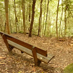 Timber seat on the track to Gap Creek Falls in the Watagans
