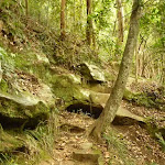 Rocky stepped track on the way to Gap Creek Falls in the Watagans
