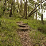 Timber steps near Mt Sugarloaf