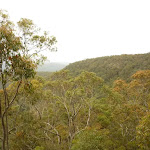 Views of forest near Mt Sugarloaf
