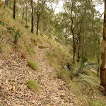 Track to the northern viewpoint near Mt Sugarloaf