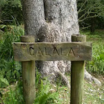 Calala sign on Lady Carrington Drive