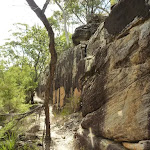 Long rock wall west of Hornsby Heights