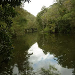 Berowra Creek