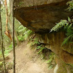 Overhang south of Berowra Creek campsite