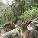 Rocky track from view point south of Crosslands