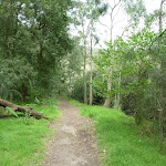 Wide track on the southern side of Crosslands Reserve