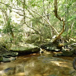 Sams Creek