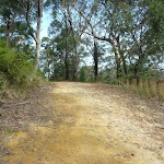 Walking along trail on south side of Berowra Heights