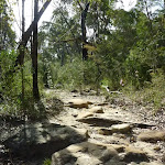 Rocky track South of Berowra Heights