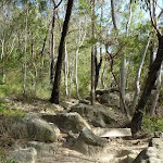 Rocky track west of Crowley Rd
