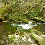 Berowra Creek upstream of Fishponds