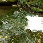 Cascade on Waitara Creek
