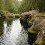 Water hole below 'the Spa' on Waitara Creek