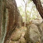 Rock wall near Quarter Sessions Road