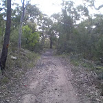The track going up to Helensburgh