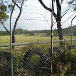 The large fenced in clearing