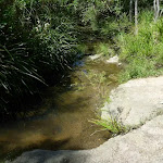 Flaggy Creek