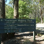 Welcome to Yuelarbah Walking Track