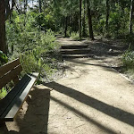 Nice place to rest beside Flaggy Creek on the Yuelarbah Walking Track