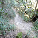 step track below Leichhardts Lookout