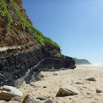 Coal seam on Burwood Beach
