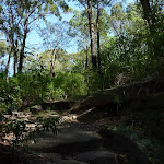 Rocky track near the end of Boronia Ave