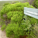 Sign post on Curra Moors Track