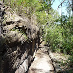The GNW between sandstone wall and mangroves