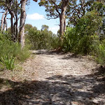 Wises service trail